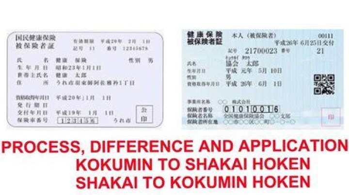 国民健康保険証の色でわかること｜種類・見分け方を徹底解説