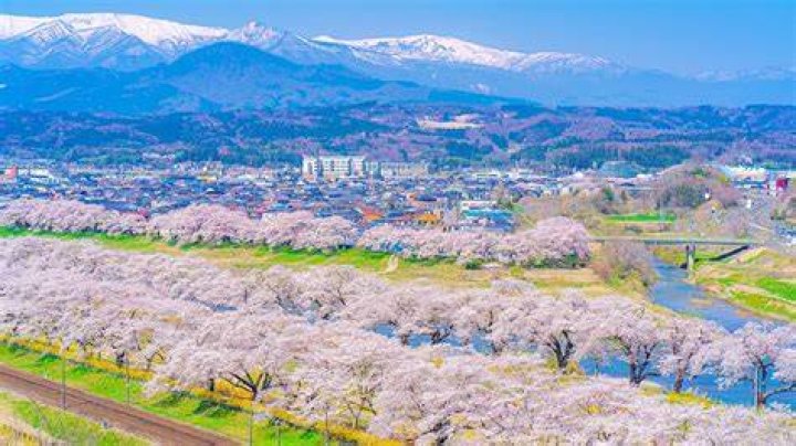 宮城県の女装文化を徹底解説｜仙台を中心としたコミュニティ・スポット・サロン情報